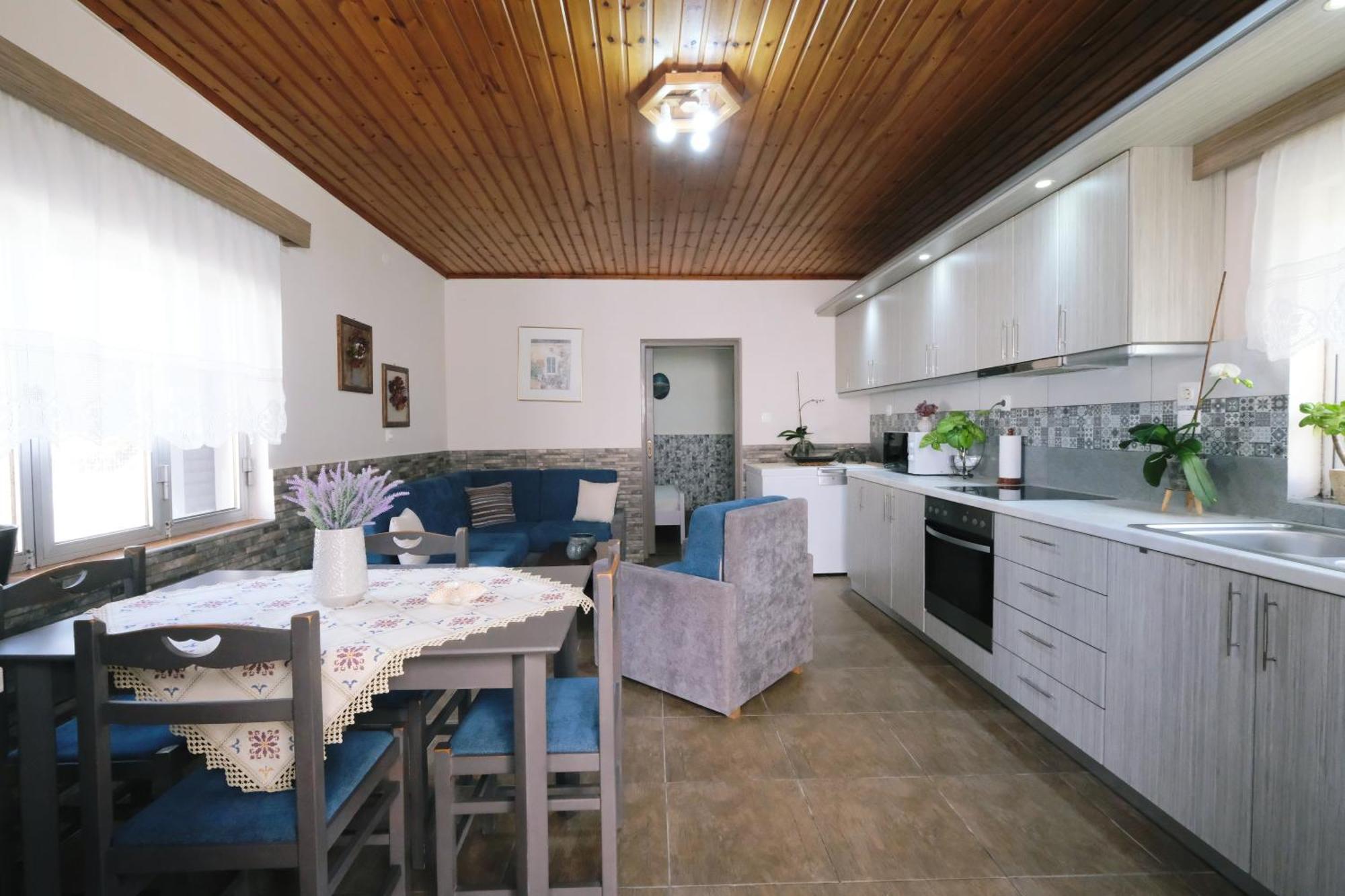 Repanidi Apartment D / Ρεπανίδι Διαμέρισμα Δ Repanidhion Eksteriør billede