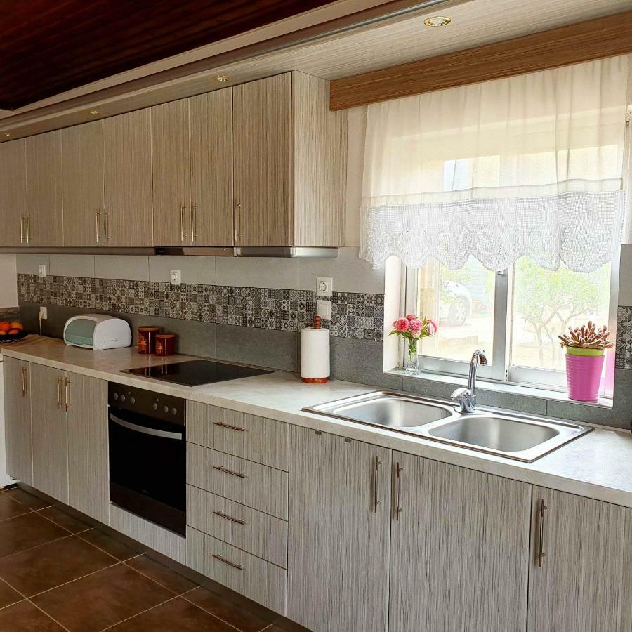 Repanidi Apartment D / Ρεπανίδι Διαμέρισμα Δ Repanidhion Eksteriør billede