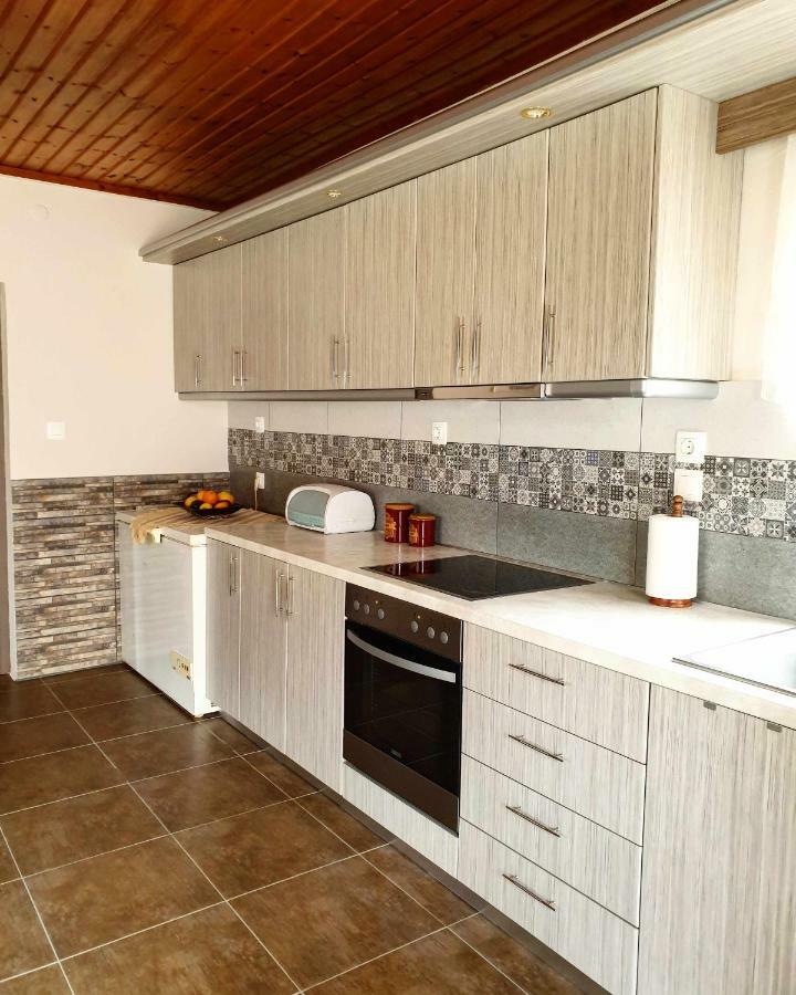 Repanidi Apartment D / Ρεπανίδι Διαμέρισμα Δ Repanidhion Eksteriør billede