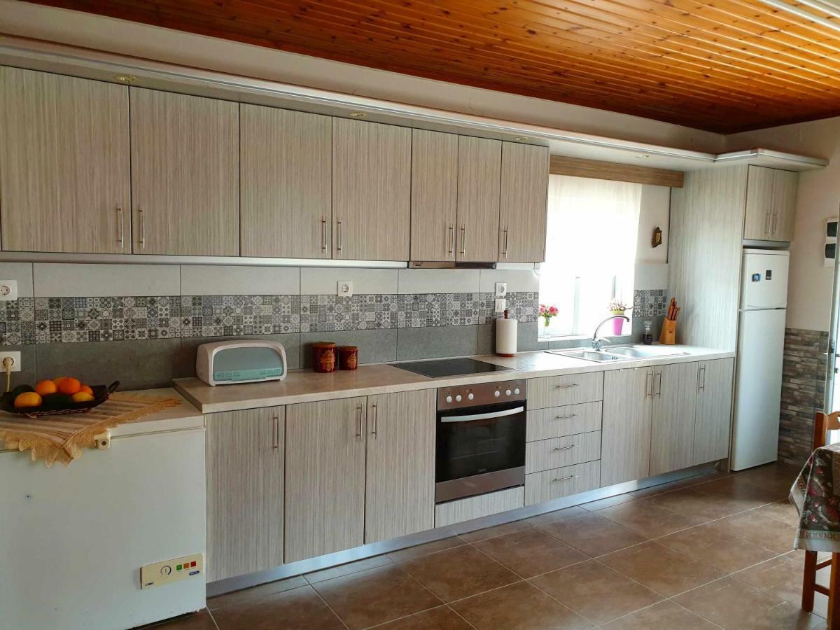 Repanidi Apartment D / Ρεπανίδι Διαμέρισμα Δ Repanidhion Eksteriør billede