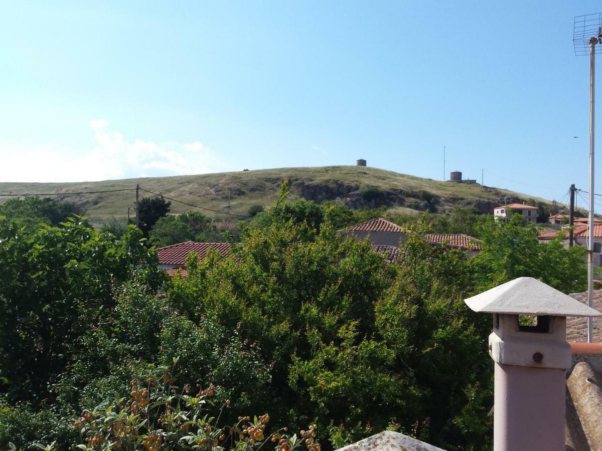 Repanidi Apartment D / Ρεπανίδι Διαμέρισμα Δ Repanidhion Eksteriør billede