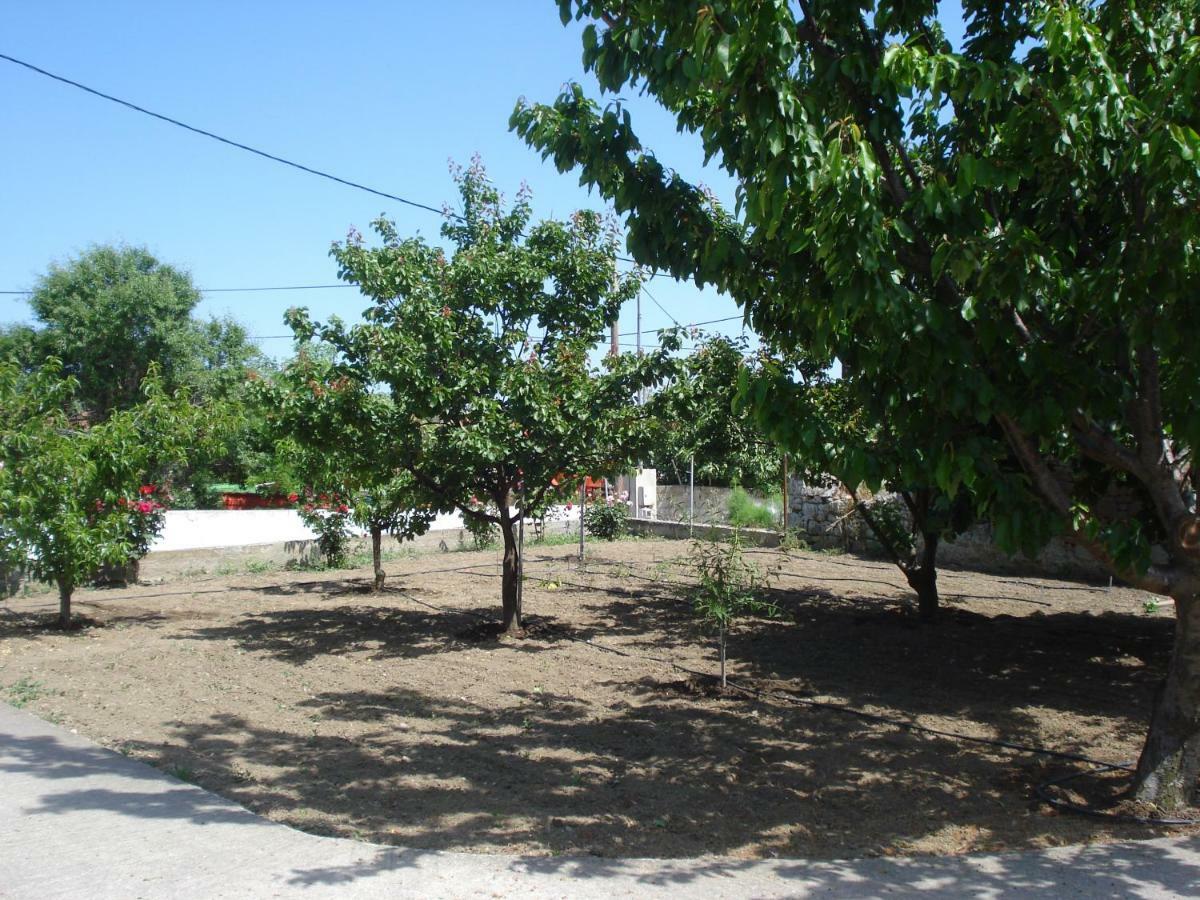 Repanidi Apartment D / Ρεπανίδι Διαμέρισμα Δ Repanidhion Eksteriør billede